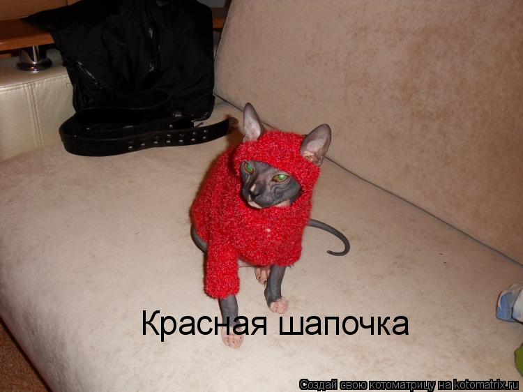 Котоматрица: Красная шапочка