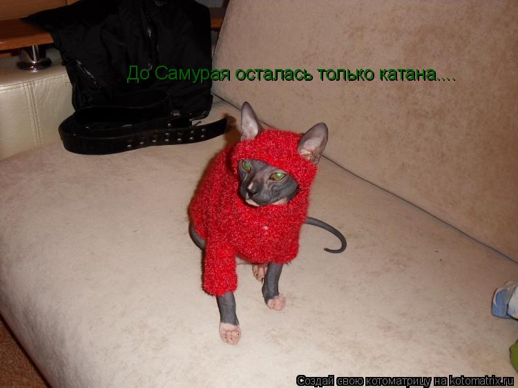 Котоматрица: До Самурая осталась только катана....