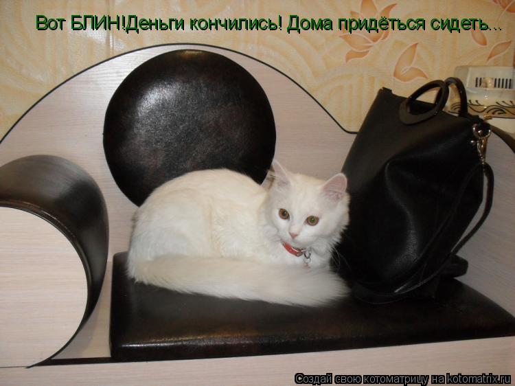 Котоматрица: Вот БЛИН!Деньги кончились! Дома придёться сидеть...