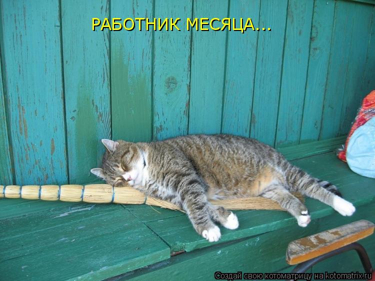 Котоматрица: РАБОТНИК МЕСЯЦА...
