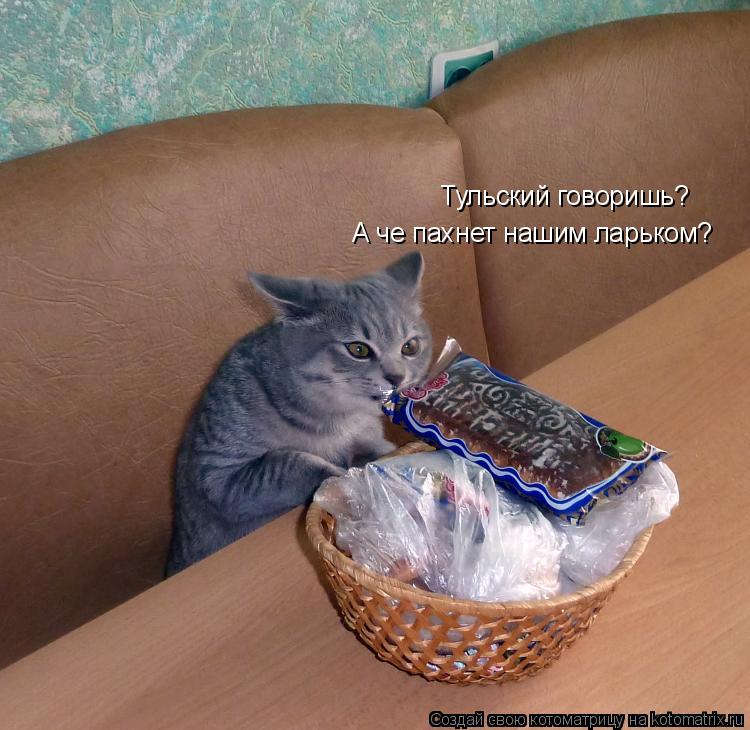 Котоматрица: Тульский говоришь? А че пахнет нашим ларьком?