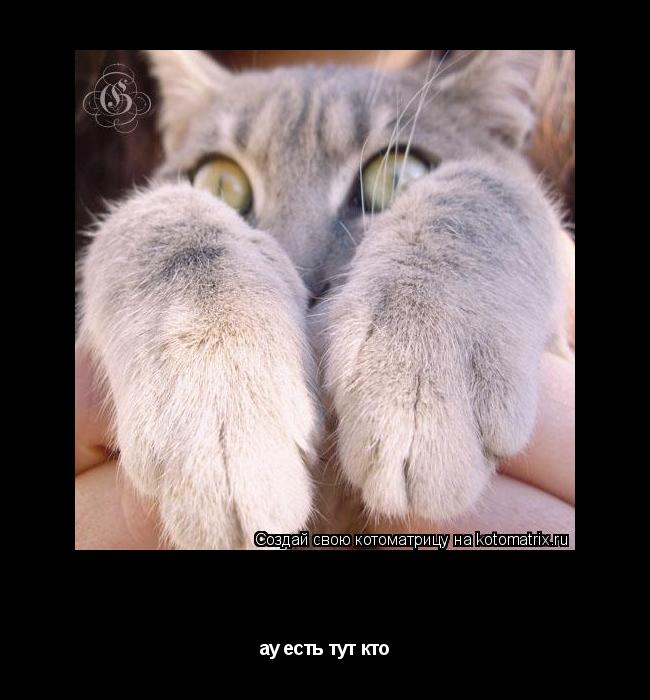 Котоматрица: куку ау есть тут кто