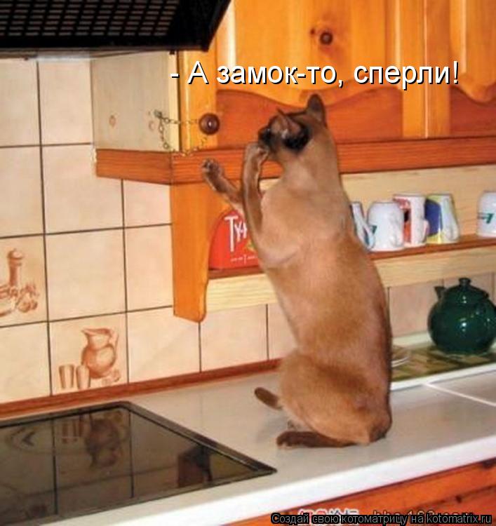 Котоматрица: - А замок-то, сперли!