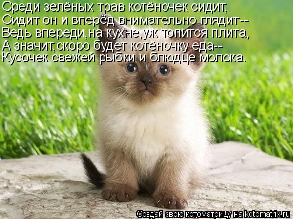 Котоматрица: Среди зелёных трав котёночек сидит, Сидит он и вперёд внимательно глядит-- Ведь впереди,на кухне,уж топится плита, А значит,скоро будет котё