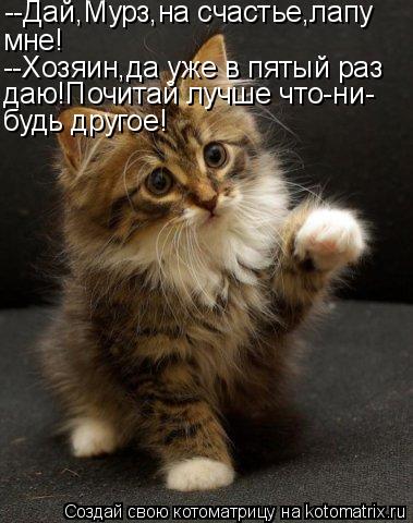 Котоматрица: --Дай,Мурз,на счастье,лапу мне! --Хозяин,да уже в пятый раз даю!Почитай лучше что-ни- будь другое!