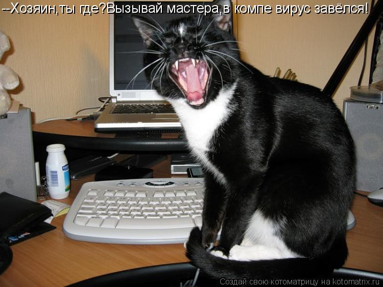 Котоматрица: --Хозяин,ты где?Вызывай мастера,в компе вирус завёлся!