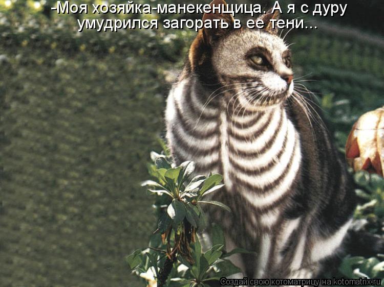 -Моя хозяйка-манекенщица. А я с дуру умудрился загорать в ее тени...... Котоматрица: -Моя хозяйка-манекенщица. А я с дуру умудрился загорать в ее тени...