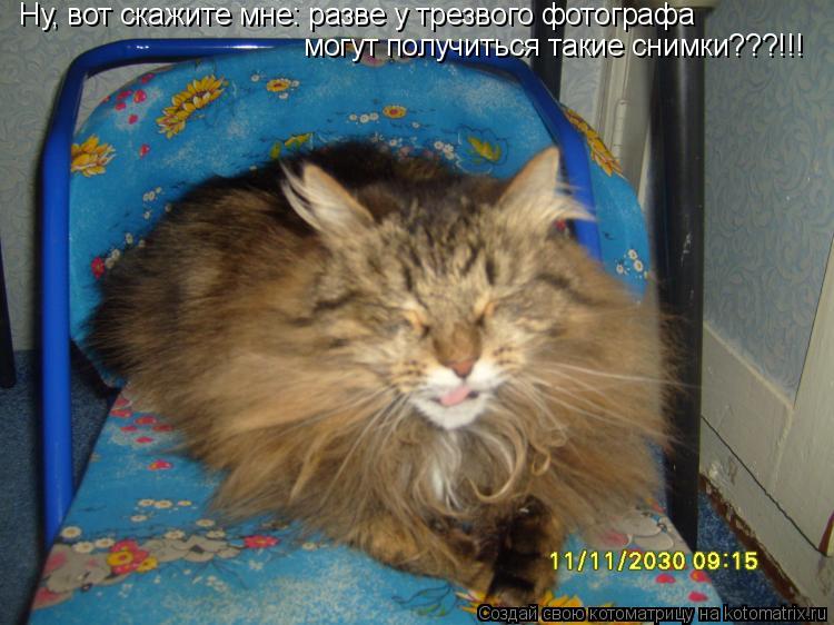 Котоматрица: Ну, вот скажите мне: разве у трезвого фотографа могут получиться такие снимки???!!!