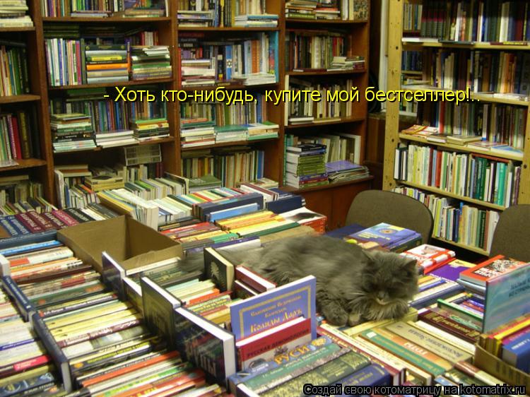 Котоматрица: - Хоть кто-нибудь, купите мой бестселлер!..