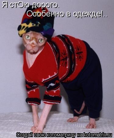 Котоматрица: Я стОю дорого.  Особенно в одежде!..