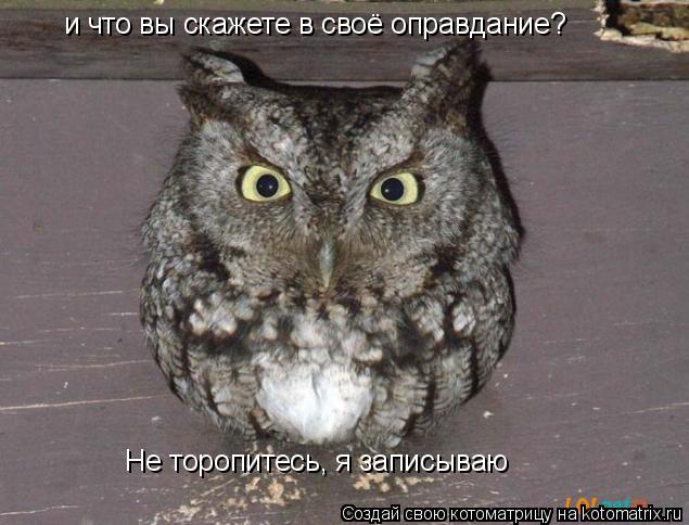 Котоматрица: и что вы скажете в своё оправдание? Не торопитесь, я записываю