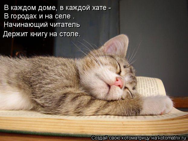 Котоматрица: В каждом доме, в каждой хате - В городах и на селе — Начинающий читатель Держит книгу на столе.