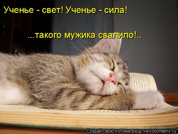 Ученье - свет! Ученье - сила! ...такого мужика свалило!..... Котоматрица: Ученье - свет! Ученье - сила! ...такого мужика свалило!..