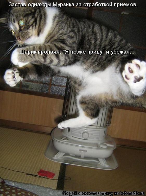 Котоматрица: Застав однажды Мурзика за отработкой приёмов, Шарик пролаял: "Я позже приду" и убежал...