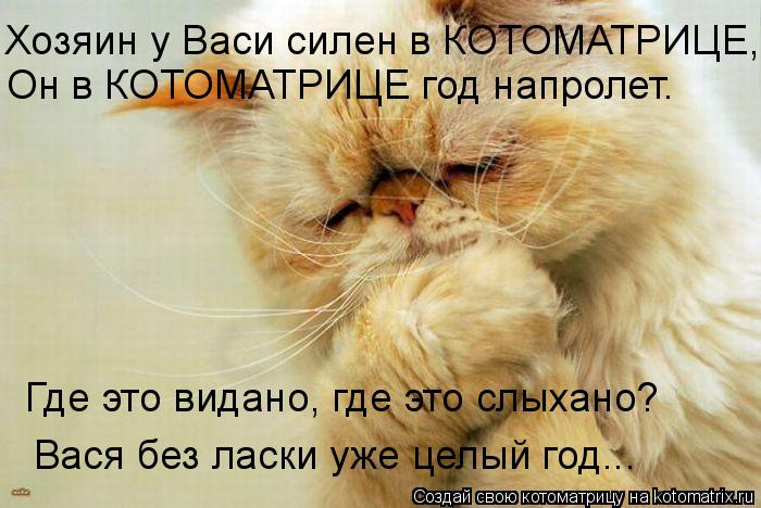 Котоматрица: Хозяин у Васи силен в КОТОМАТРИЦЕ,  Он в КОТОМАТРИЦЕ год напролет.  Где это видано, где это слыхано?  Вася без ласки уже целый год...