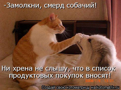 Котоматрица: -Замолкни, смерд собачий! Ни хрена не слышу, что в список  продуктовых покупок вносят!