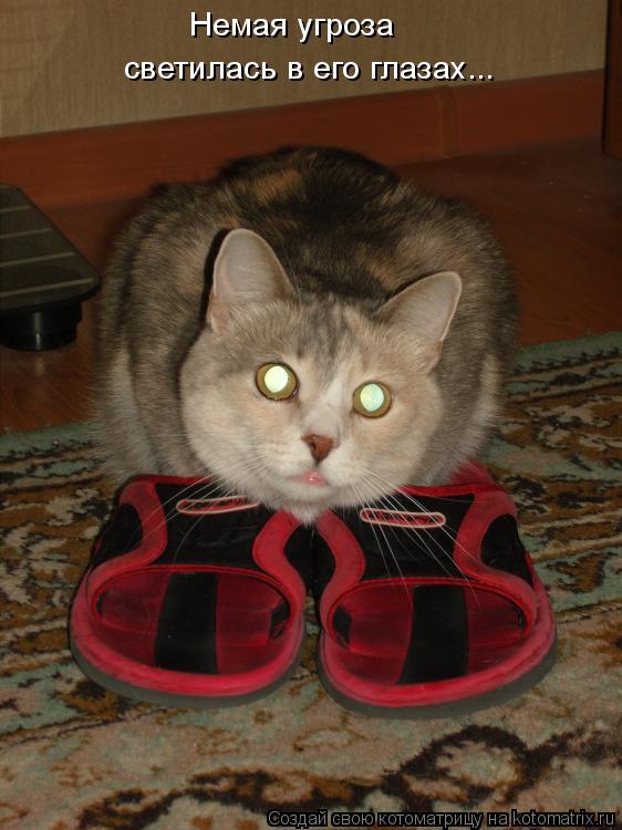 Котоматрица: Немая угроза  светилась в его глазах...
