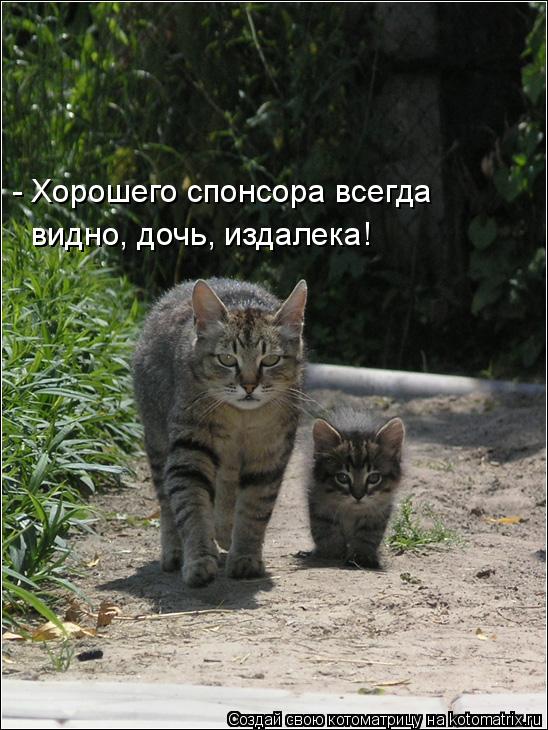 Котоматрица: - Хорошего спонсора всегда видно, дочь, издалека!
