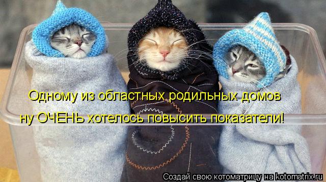 Котоматрица: Одному из областных родильных домов ну ОЧЕНЬ хотелось повысить показатели!
