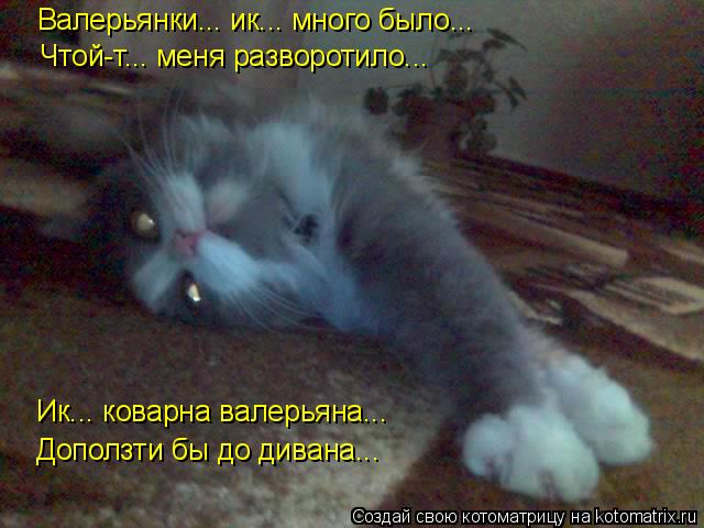 Котоматрица: Валерьянки... ик... много было... Ик... коварна валерьяна... Чтой-т... меня разворотило... Доползти бы до дивана...
