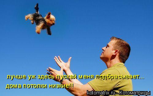 Котоматрица: лучше уж здесь пускай меня подбрасывает... дома потолки низкие!!