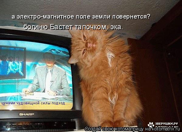 Котоматрица: а электро-магнитное поле земли повернется? цунами чудовищной силы подход.... богиню Бастет тапочком, эка.