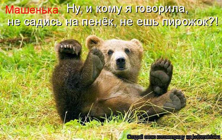 Котоматрица: Ну, и кому я говорила, не садись на пенёк, не ешь пирожок?! Машенька: