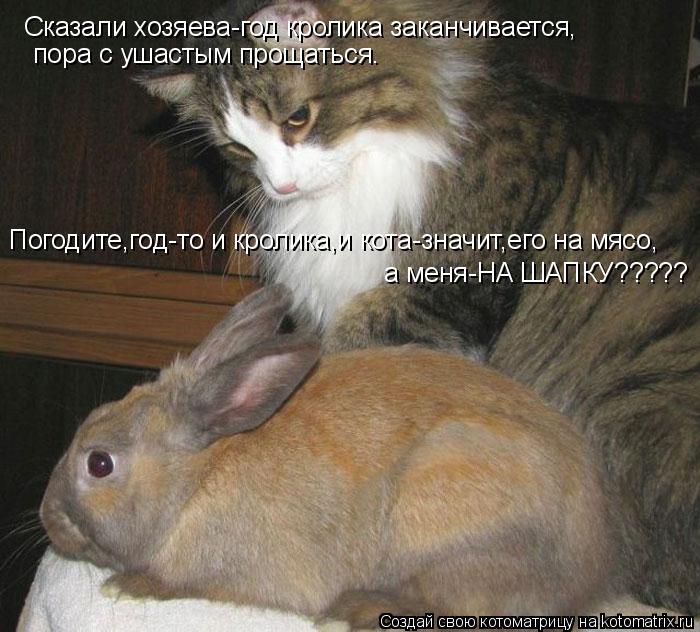 Котоматрица: Сказали хозяева-год кролика заканчивается,  пора с ушастым прощаться. а меня-НА ШАПКУ????? Погодите,год-то и кролика,и кота-значит,его на мясо,