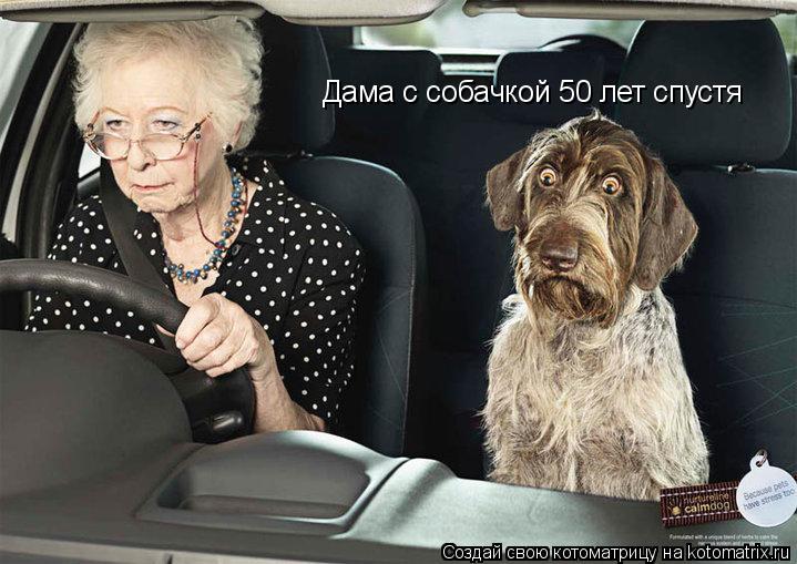 Котоматрица: Дама с собачкой 50 лет спустя