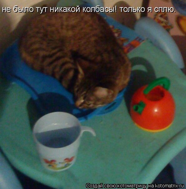 Котоматрица: не было тут никакой колбасы! только я сплю.