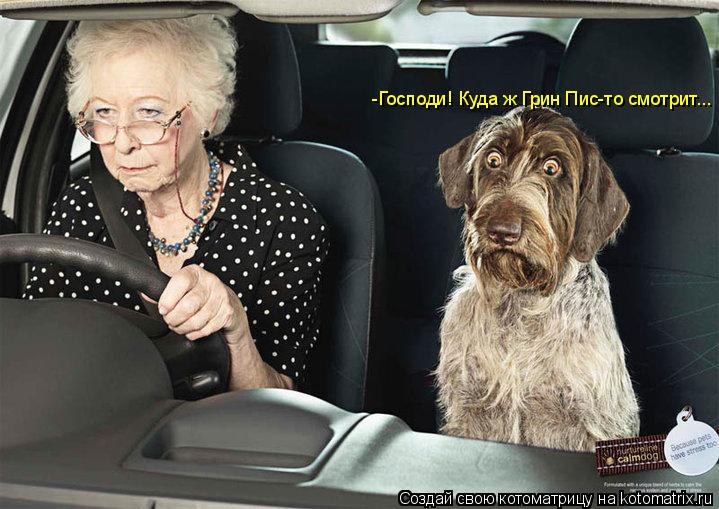 Котоматрица: -Господи! Куда ж Грин Пис-то смотрит...