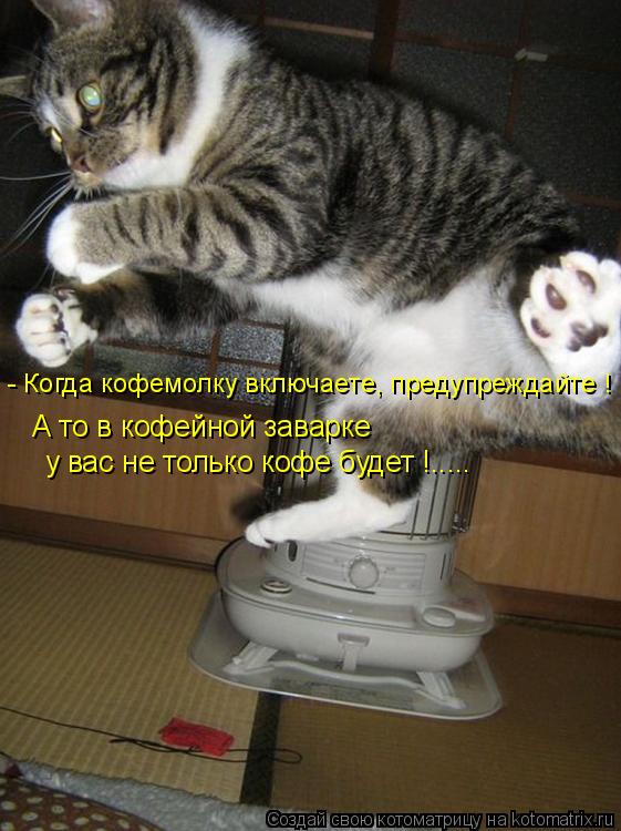 Котоматрица: - Когда кофемолку включаете, предупреждайте ! А то в кофейной заварке  у вас не только кофе будет !.....