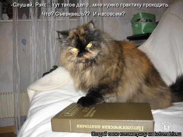Котоматрица: -Слушай, Рэкс... тут такое дело...мне нужно практику проходить. Что? Съезжаешь??  И насовсем?