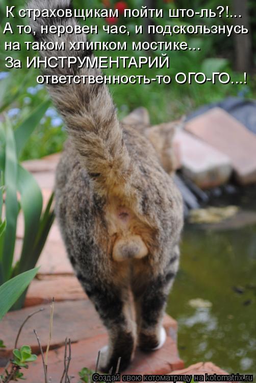 Котоматрица: К страховщикам пойти што-ль?!... А то, неровен час, и подскользнусь на таком хлипком мостике...  За ИНСТРУМЕНТАРИЙ  ответственность-то ОГО-ГО...!