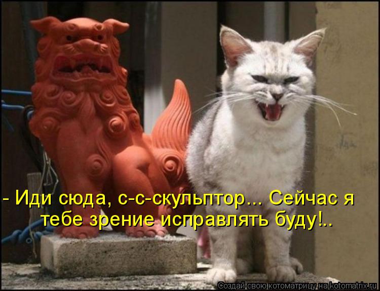 Котоматрица: - Иди сюда, с-с-скульптор... Сейчас я тебе зрение исправлять буду!..