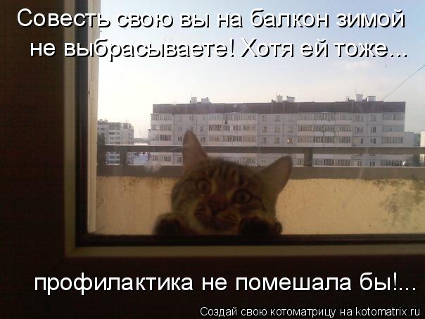 Котоматрица: Совесть свою вы на балкон зимой  не выбрасываете! Хотя ей тоже...  профилактика не помешала бы!...