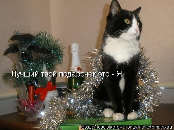Котоматрица: Лучший твой подарочек это - Я