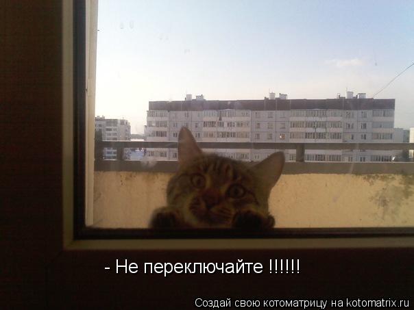 Котоматрица: - Не переключайте !!!!!!