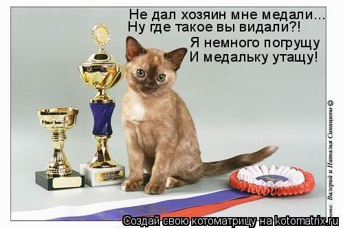 Котоматрица: Не дал хозяин мне медали...  Ну где такое вы видали?!  Я немного погрущу И медальку утащу!