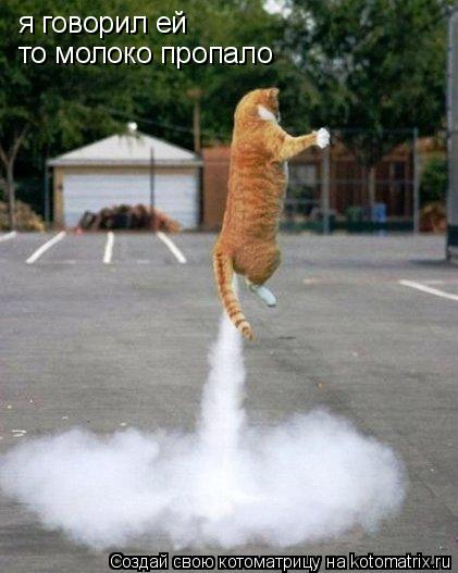 Котоматрица: я говорил ей то молоко пропало