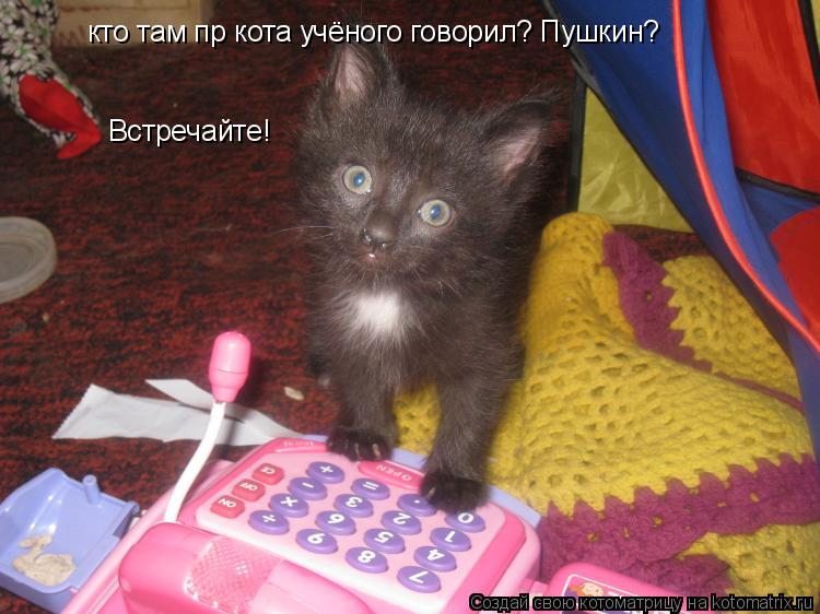 Котоматрица: кто там пр кота учёного говорил? Пушкин? Встречайте!