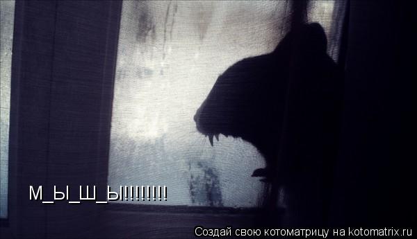 Котоматрица: М_Ы_Ш_Ы!!!!!!!!