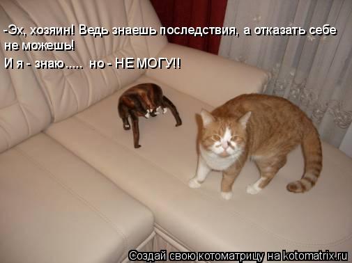 Котоматрица: -Эх, хозяин! Ведь знаешь последствия, а отказать себе  не можешь! И я - знаю.....  но - НЕ МОГУ!!