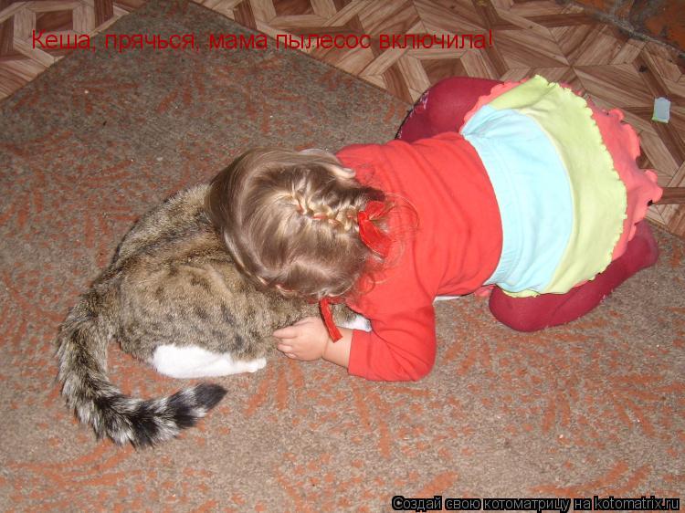 Котоматрица: Кеша, прячься, мама пылесос включила!