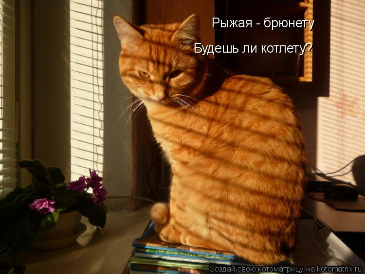 Котоматрица: Рыжая - брюнету Будешь ли котлету?