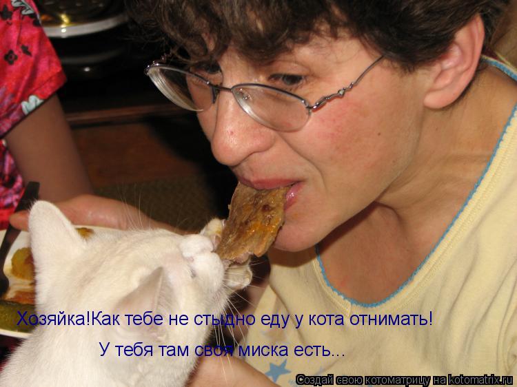 Котоматрица: Хозяйка!Как тебе не стыдно еду у кота отнимать! У тебя там своя миска есть...