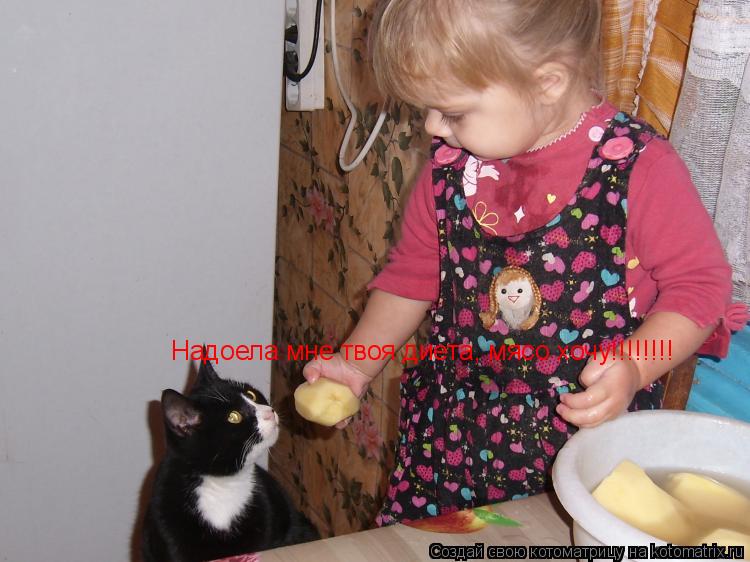 Котоматрица: Надоела мне твоя диета, мясо хочу!!!!!!!!