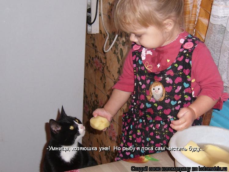Котоматрица: -Умница, хозяюшка уже!  Но рыбу я пока сам чистить буду...
