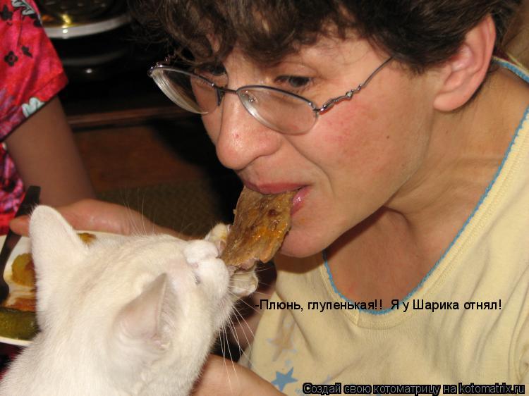 Котоматрица: -Плюнь, глупенькая!!  Я у Шарика отнял!