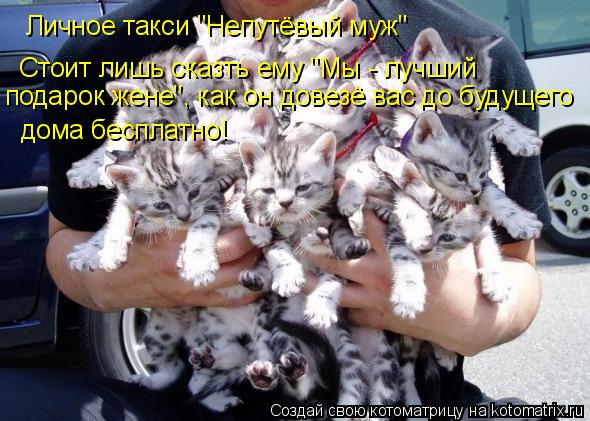 Котоматрица: Личное такси "Непутёвый муж" Стоит лишь сказть ему "Мы - лучший  подарок жене", как он довезё вас до будущего  дома бесплатно!